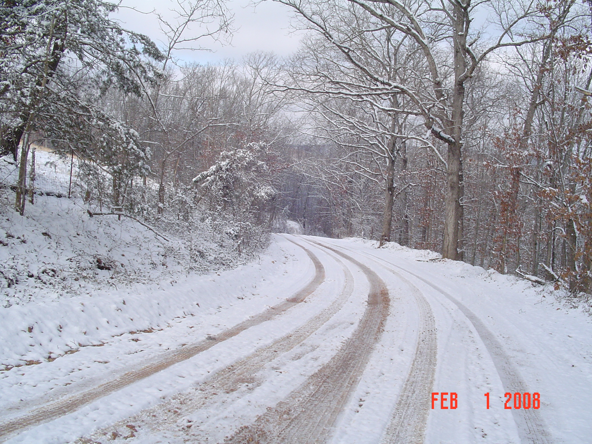 snow-feb-01-2008_03.jpg